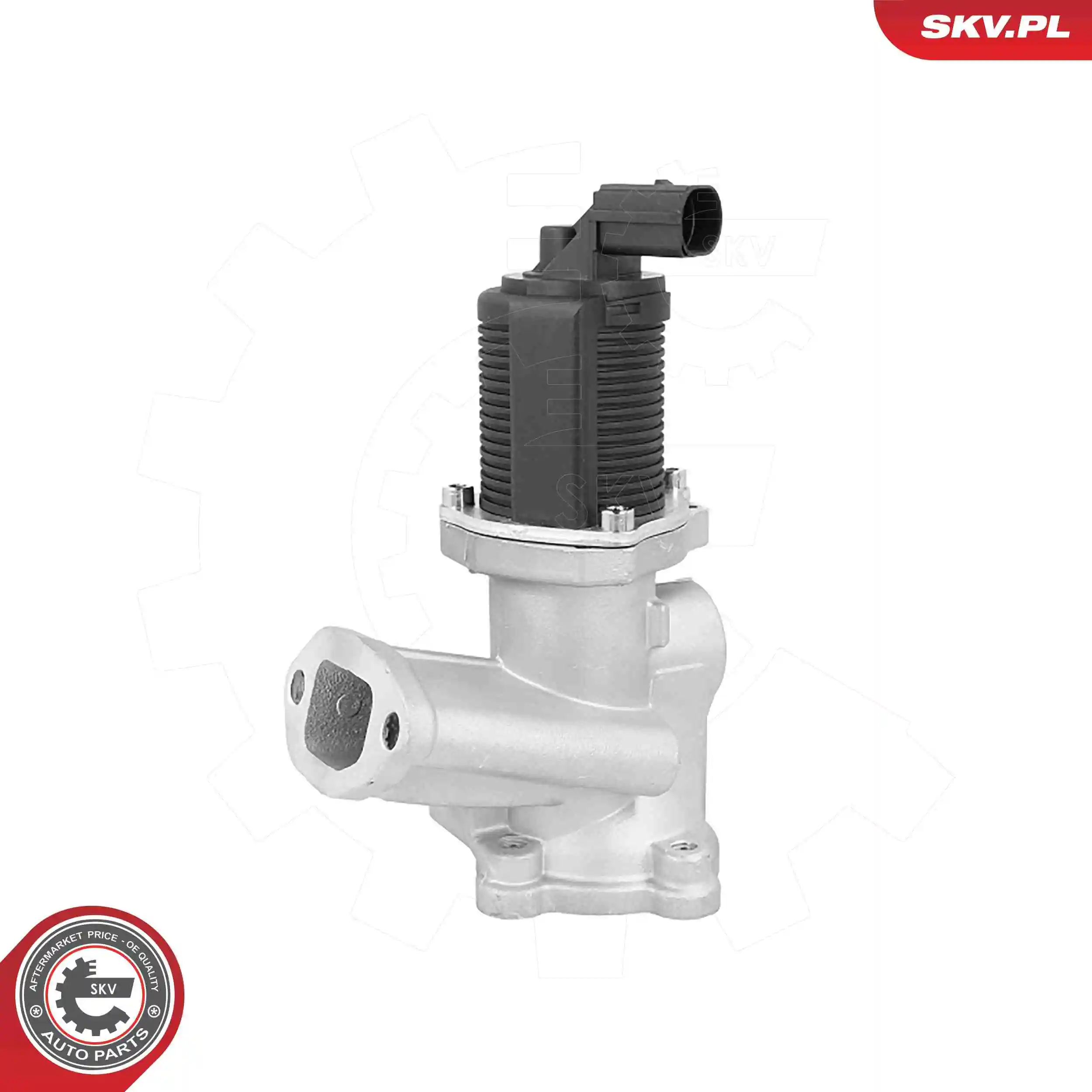 EGR Valve